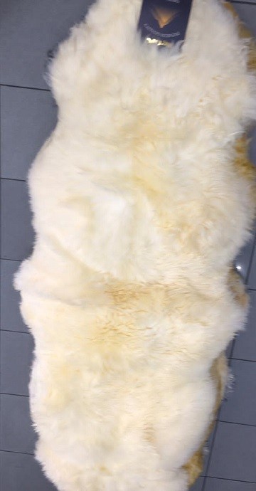 Tiag plaub Ib Pcs Universal Tsheb Rooj Cushions